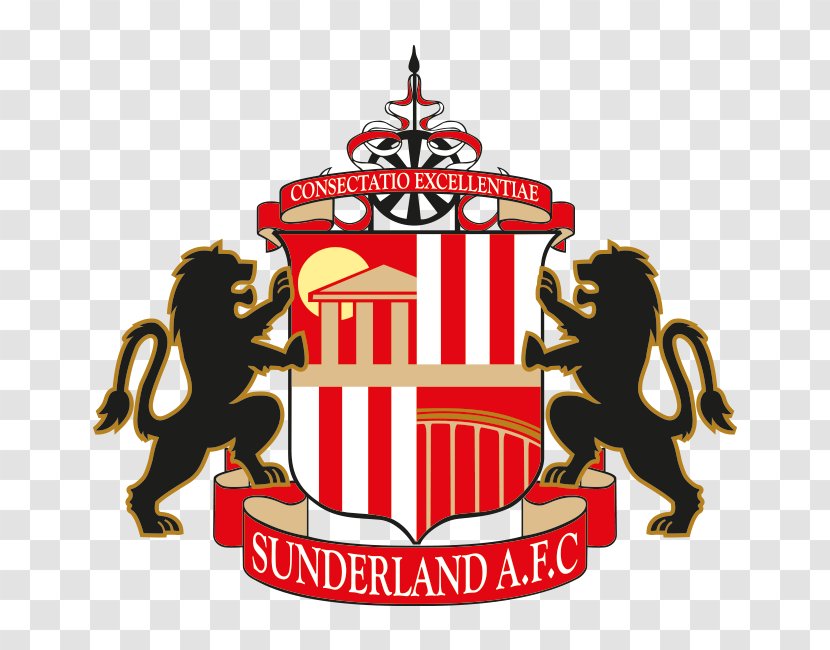 Stadium Of Light Sunderland A.F.C. English Football League Newcastle United F.C. FA Cup - Association Manager Transparent PNG