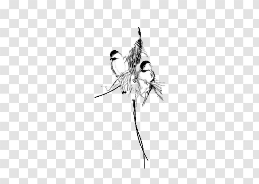 Bird Flight Black And White Eurasian Tree Sparrow - Pen - Jane Transparent PNG