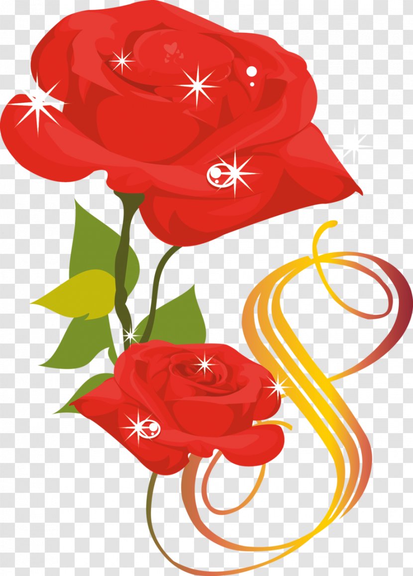 8 March Womens Day - Red - Rose Family Anthurium Transparent PNG