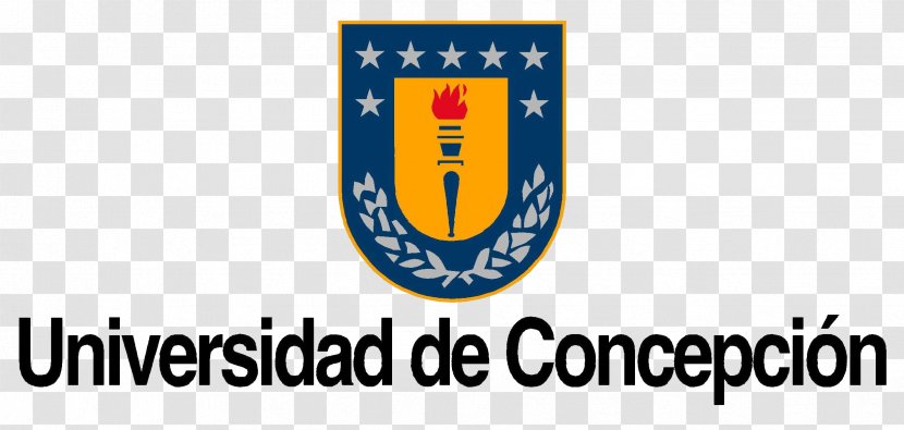 University Of Concepción Catholic The Most Holy Conception Bío Faculty Medicine UdeC Chillán - Ingeniero Civil Transparent PNG