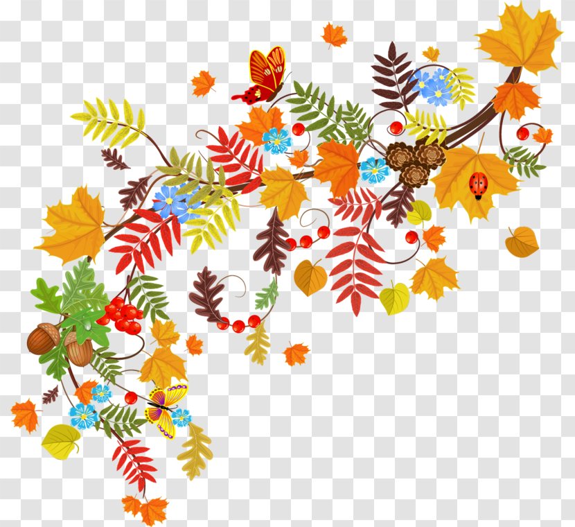 Autumn Branch - Color - Wildflower Transparent PNG