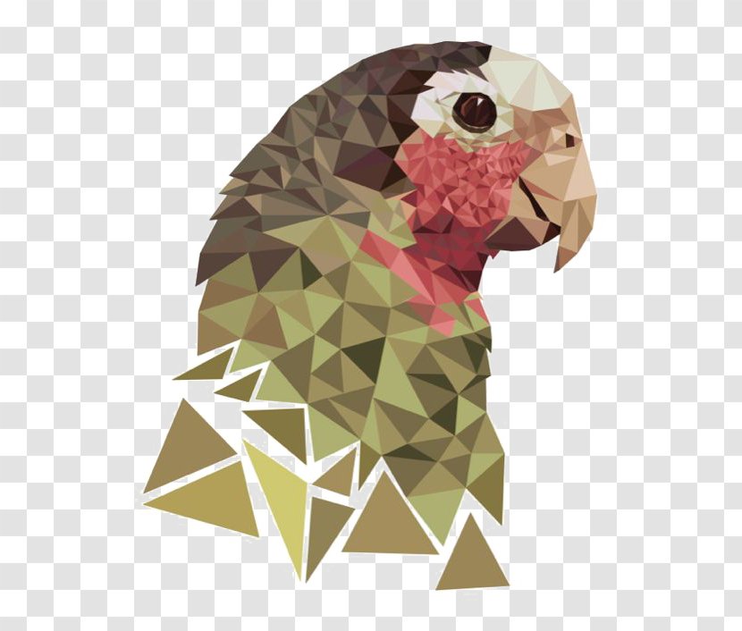 Geometry Drawing Illustration - Art - Parrot Transparent PNG