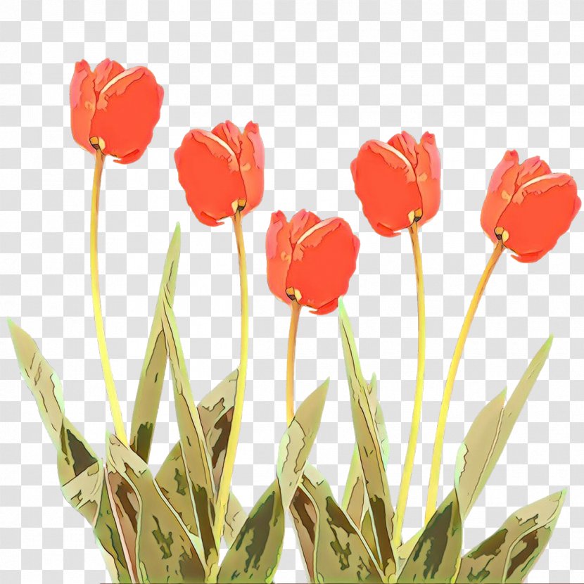 Tulip Cut Flowers Wedding Invitation - Plant Stem Transparent PNG