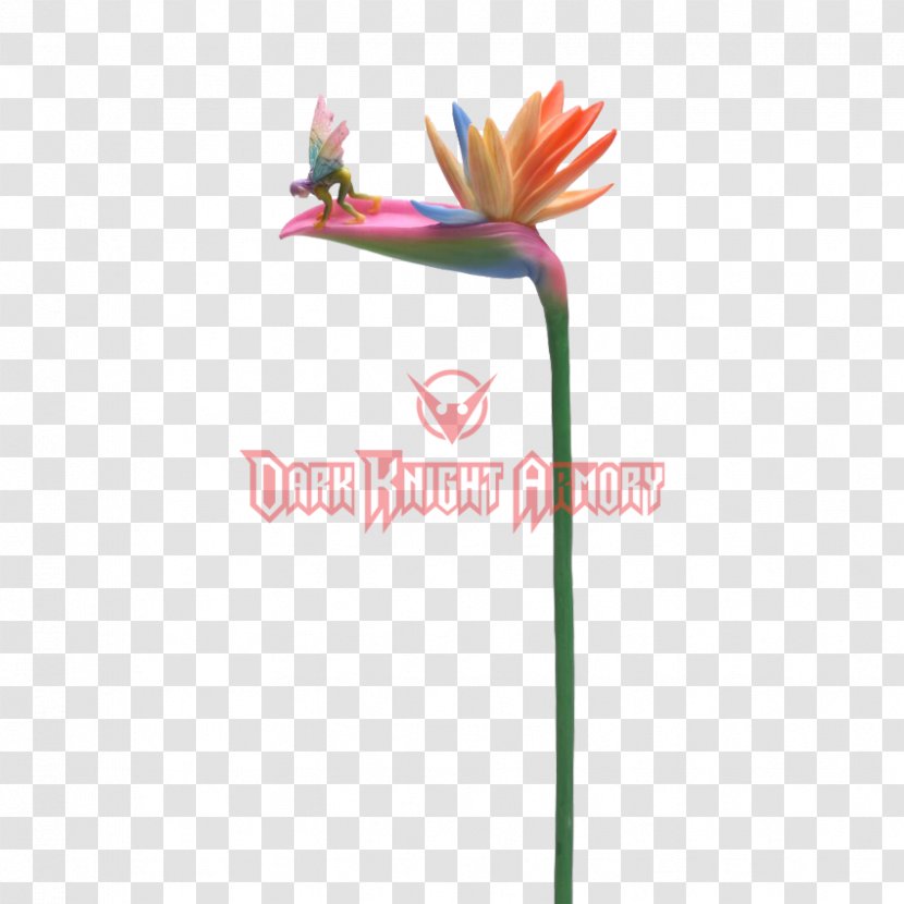 Bird-of-paradise Plant Stem Petal Fairy - Life Of Birds - Bird Transparent PNG