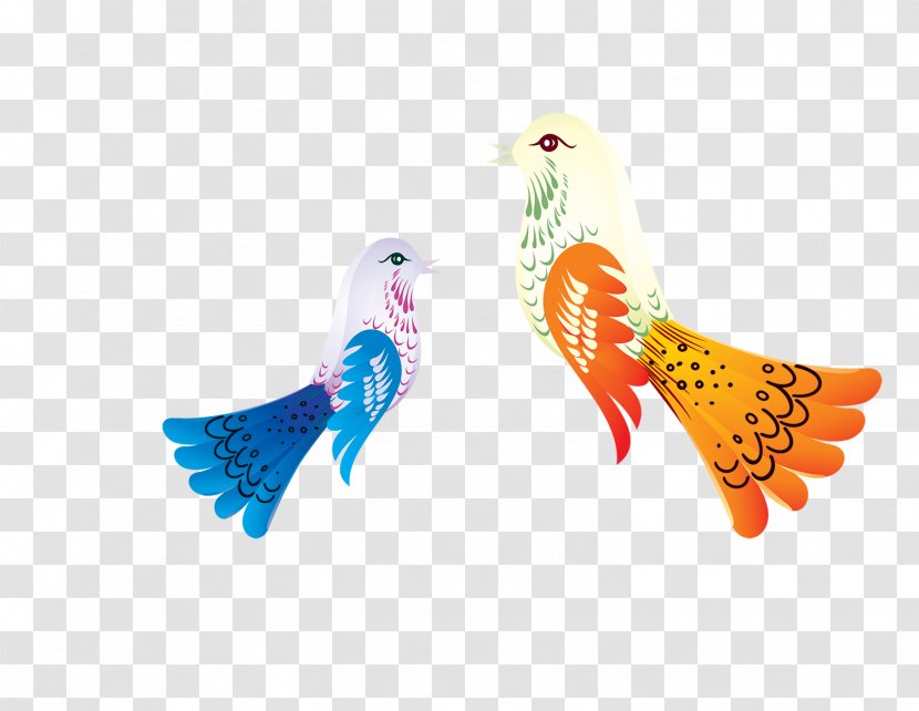 Bird Cartoon - Beautiful Color Peacock Pattern Transparent PNG