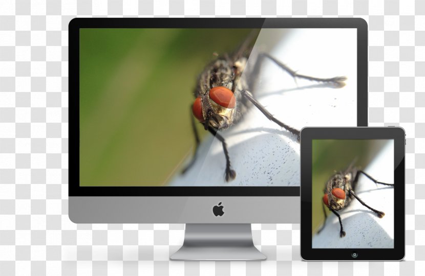 Graphic Design Web Computer Monitors Visual Communication - Screen Transparent PNG