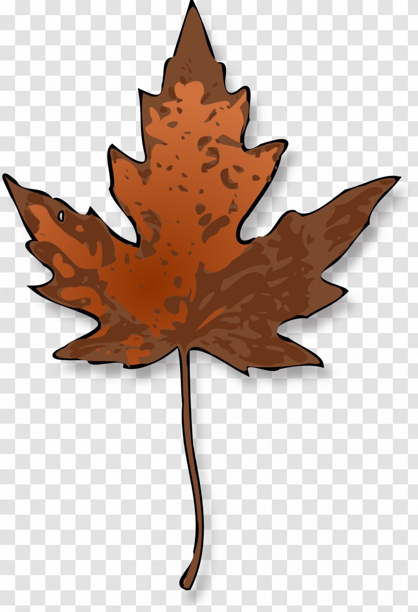 Sugar Maple Leaf Clip Art - Leaves Transparent PNG