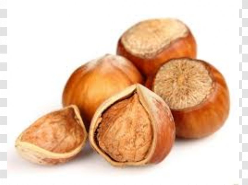 Hazelnut Grape Seed Oil Filbert - Essential - Nut Transparent PNG