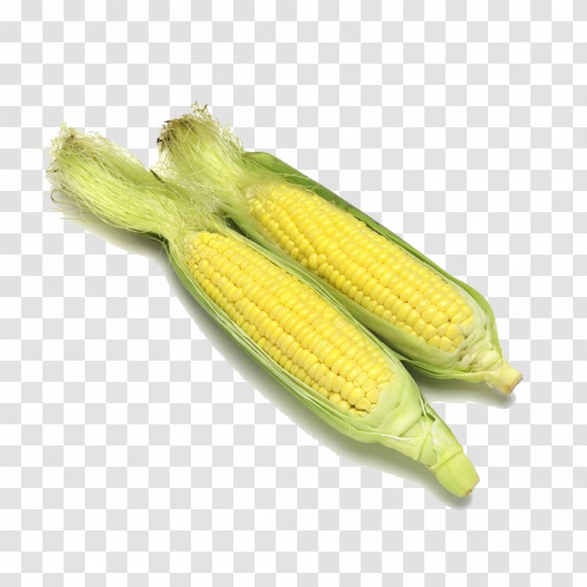 Maize Vegetable Food Caryopsis - Resource - Corn Transparent PNG