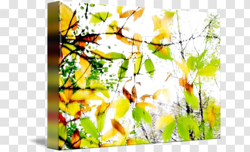 Modern Art Desktop Wallpaper Computer Font - Branch - Abstract Splash Transparent PNG