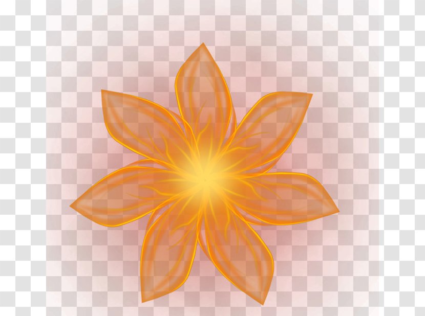 Symmetry Computer Pattern - Light Flower Transparent PNG