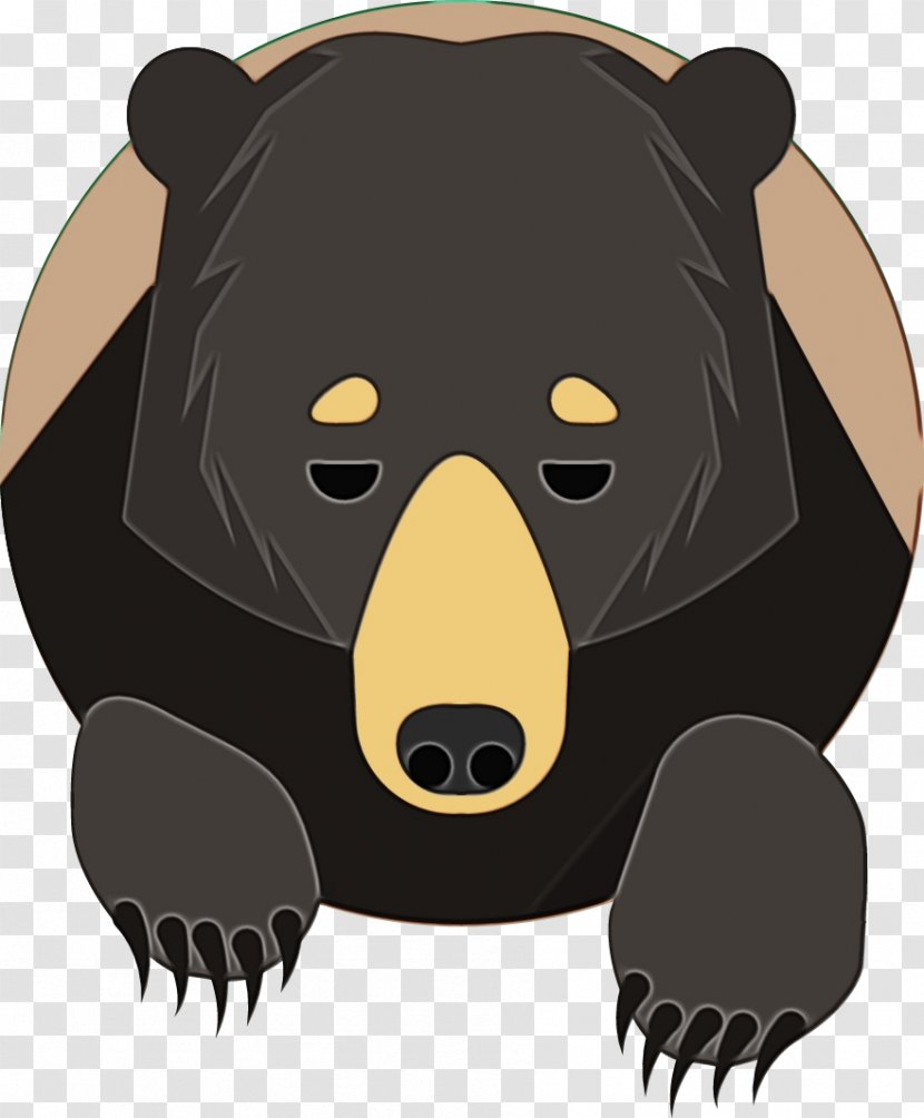 Bear Brown Cartoon American Black Sun - Watercolor - Terrestrial Animal Snout Transparent PNG