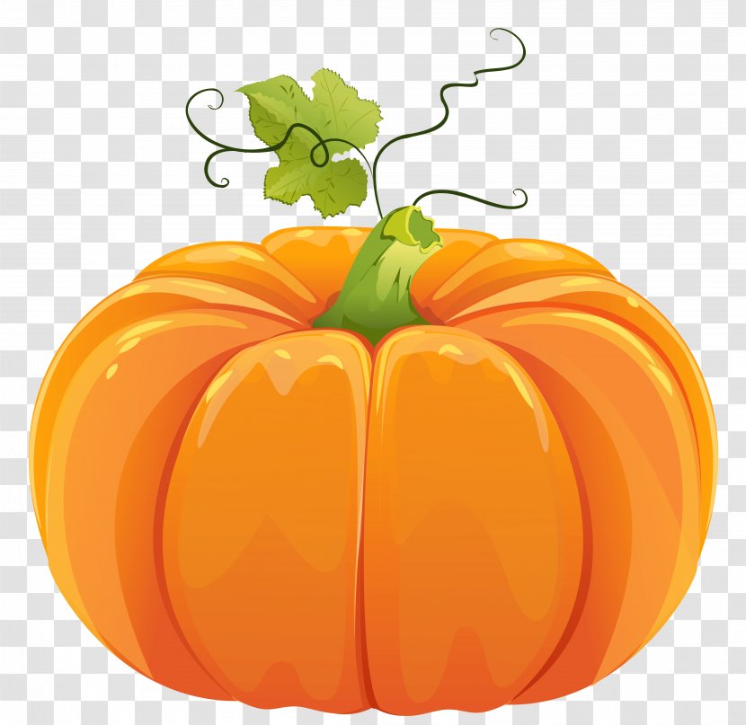 Pumpkin Clip Art - Produce - Autumn Clipart Transparent PNG
