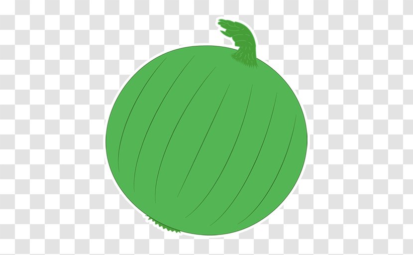 Fruit - Green - Torcedor Transparent PNG