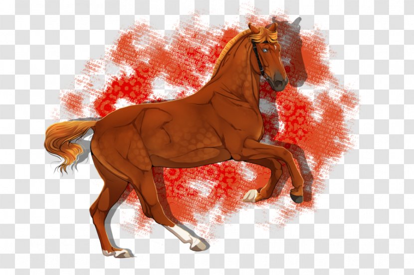 Mustang Stallion Foal Mare Halter - Horse Tack Transparent PNG
