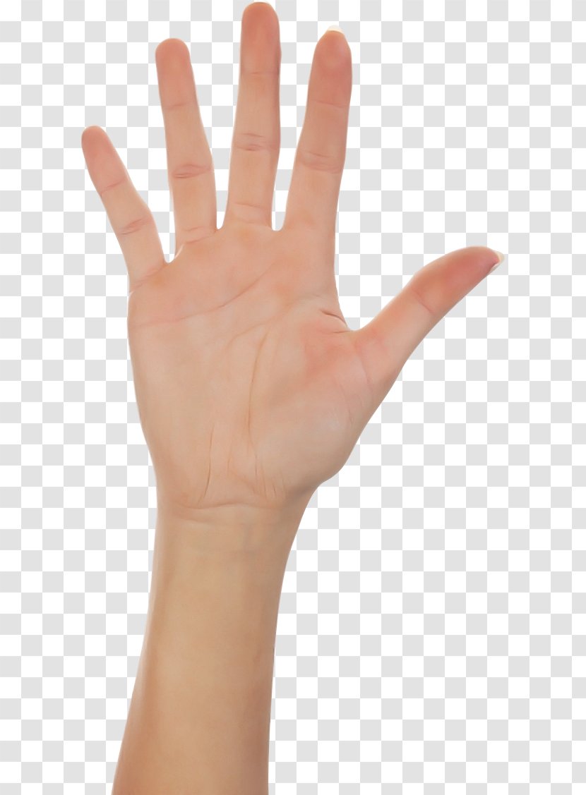 Finger Hand Skin Wrist Gesture - Joint - Nail Sign Language Transparent PNG