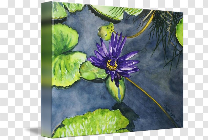 Watercolor Painting Acrylic Paint Violet - Plant Transparent PNG