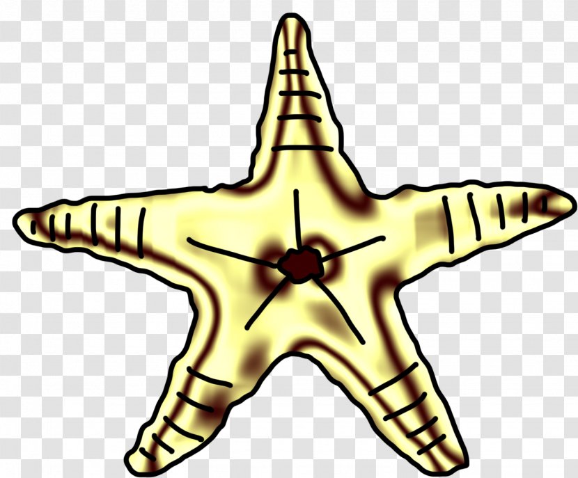 Starfish Drawing Clip Art - Wing Transparent PNG