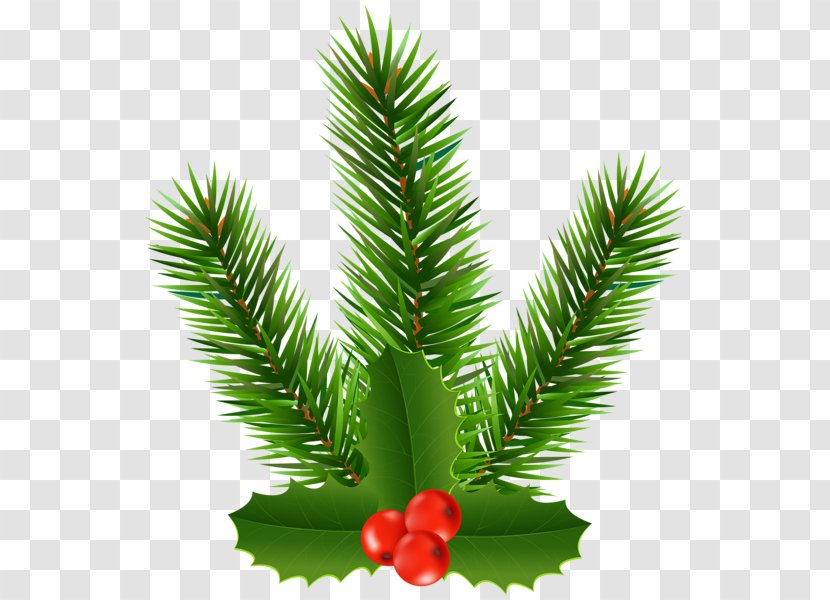 Red Christmas Tree - Pine - Sitka Spruce Jack Transparent PNG