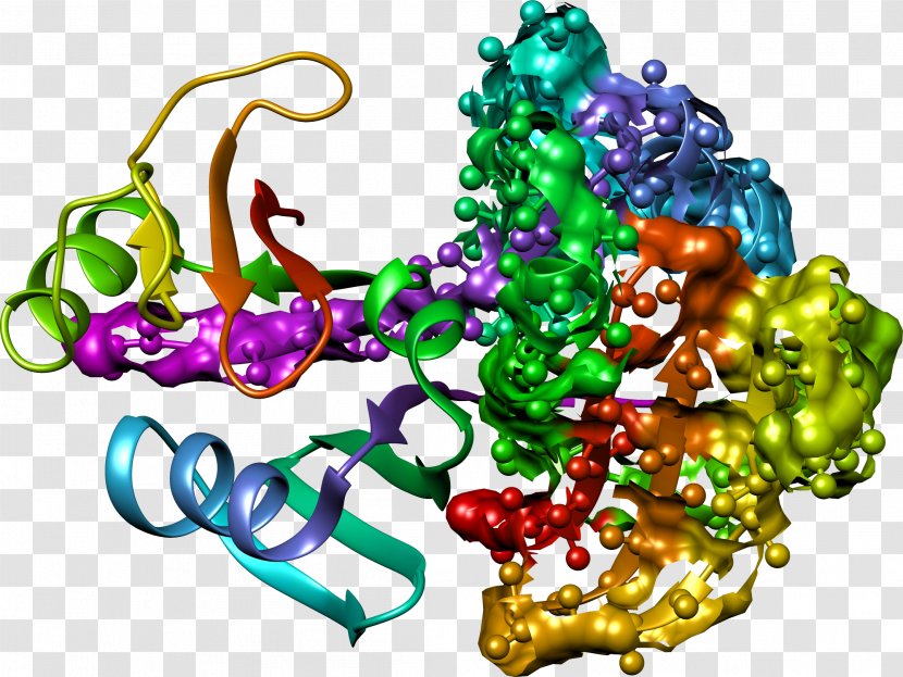 Crystal Structure Chemistry Reaction Inhibitor Enzyme - Christmas Ornament - Trypanosoma Cruzi Transparent PNG