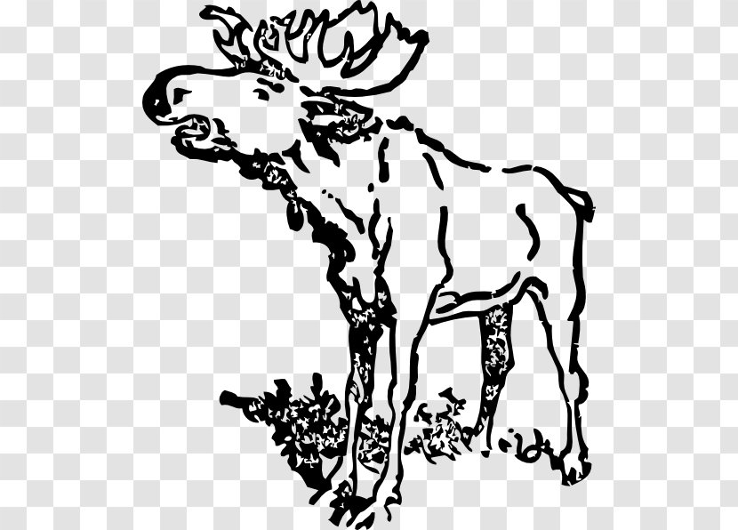 Moose Drawing Black And White Clip Art - Vertebrate - Cliparts Transparent PNG