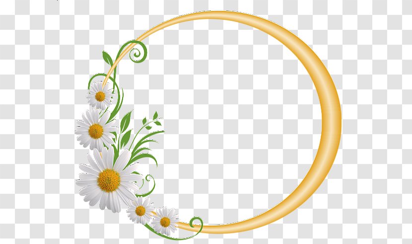 Picture Frames Graphic - Daisy Yellow Transparent PNG
