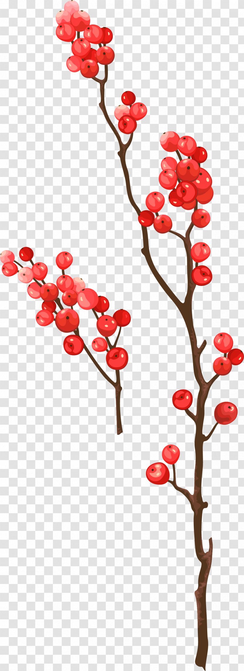Frutti Di Bosco Berry - Silhouette - Vector Decorative Red Berries Transparent PNG