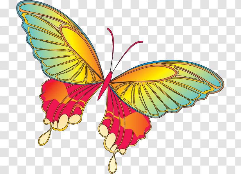 Art Clip - Monarch Butterfly - Moths And Butterflies Transparent PNG