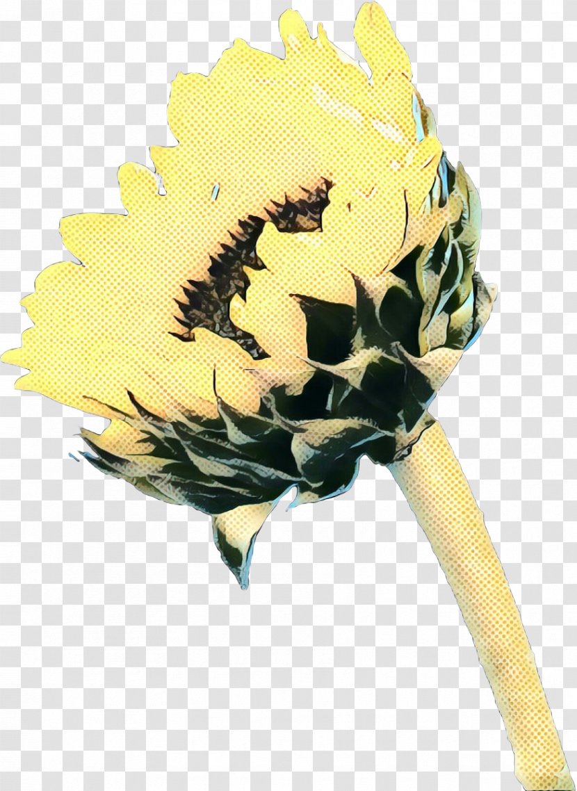 Cut Flowers Sunflower - Hair Accessory - Headband Transparent PNG