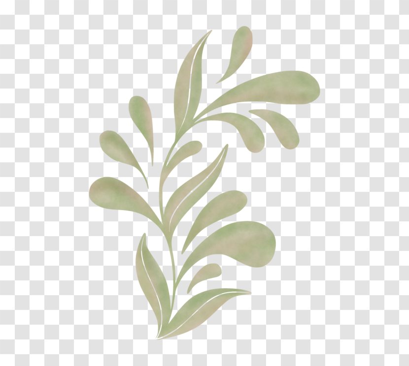 Branch Plant Stem Leaf Plants - Leaves Creative Psd Transparent PNG