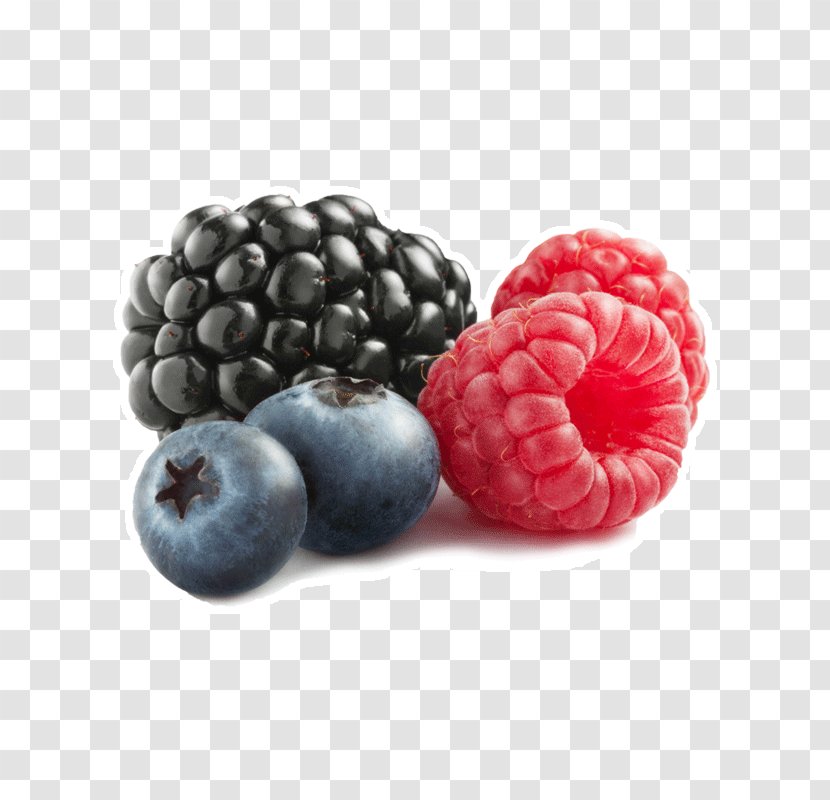 Carbohydrate Food Nutrition Blueberry - Frutti Di Bosco - Berries Transparent PNG