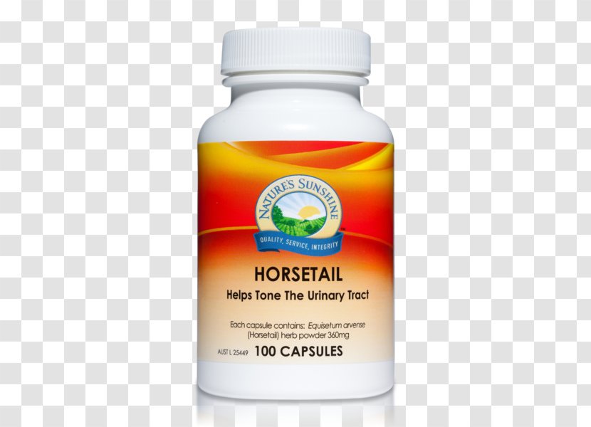 Dietary Supplement Nature's Sunshine Products Herb Blessed Thistle Cascara Buckthorn - Cnicus Benedictus - Aussie Hair Care Commercial Transparent PNG