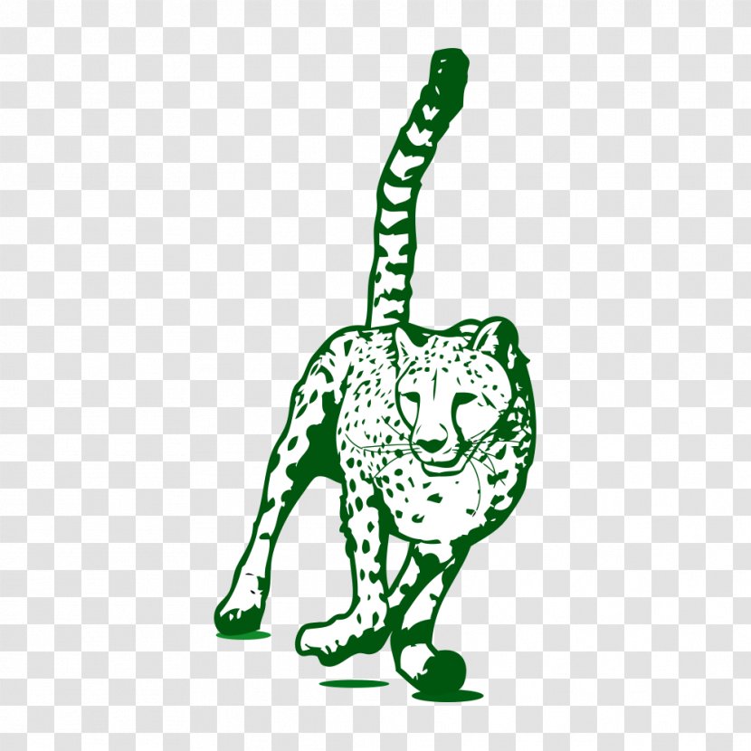 Cheetah Leopard Wildcat Felidae - Cat Transparent PNG