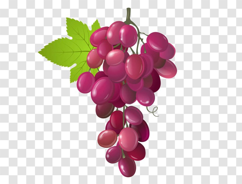 Sultana Grape Wine - Magenta Transparent PNG