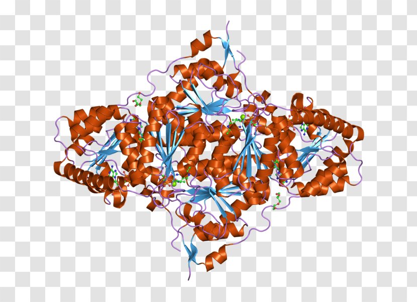 Thymidine Kinase From Herpesvirus Ganciclovir Antiviral Drug - Nucleotide Transparent PNG