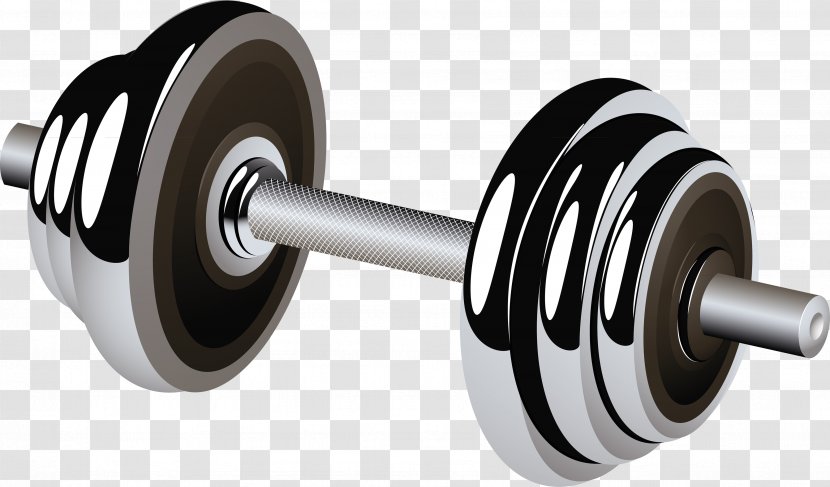 Barbell Weight Training Dumbbell Physical Fitness - Weights Transparent PNG
