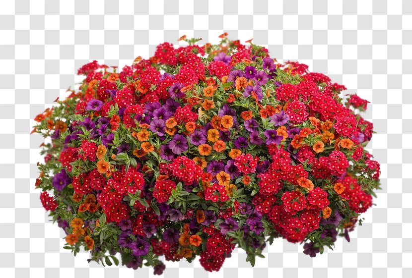 Floral Design Hanging Basket Flower Garden - Flowerpot Transparent PNG