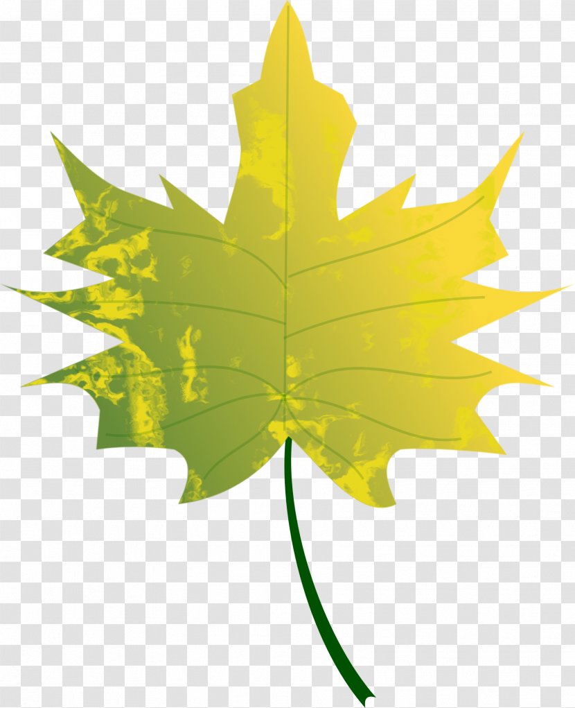 Autumn Leaf Color Clip Art - Maple - Antumn Leaves Gradient Transparent PNG