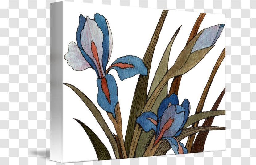 Floral Design Imagekind Art Poster - Iris - Watercolor Transparent PNG