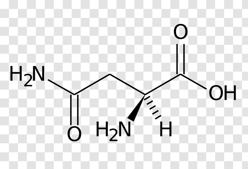 Dietary Supplement Glutamine Molecule Creatine Acid - Brand - Diente De Leon Transparent PNG