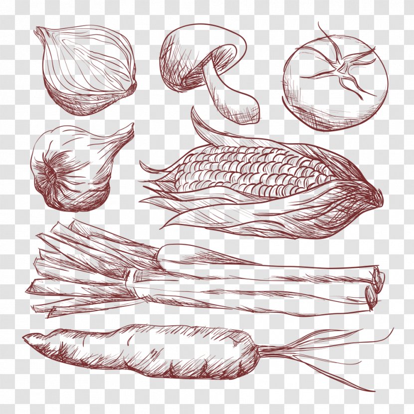 Vegetable Garlic - Joint - Corn Transparent PNG