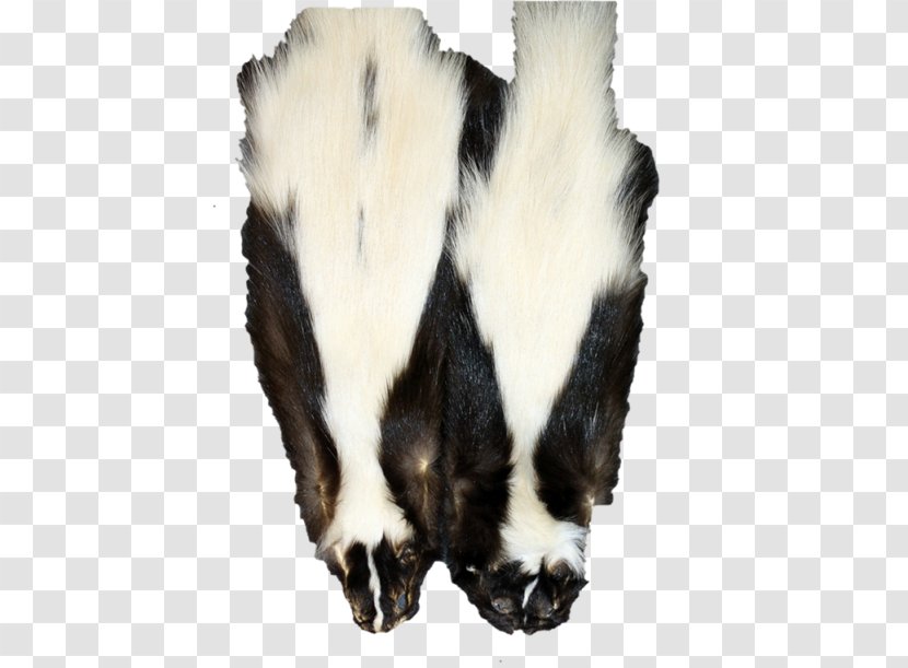 Fur Skunkfell Beaver Hide - Coat - Skunk Transparent PNG