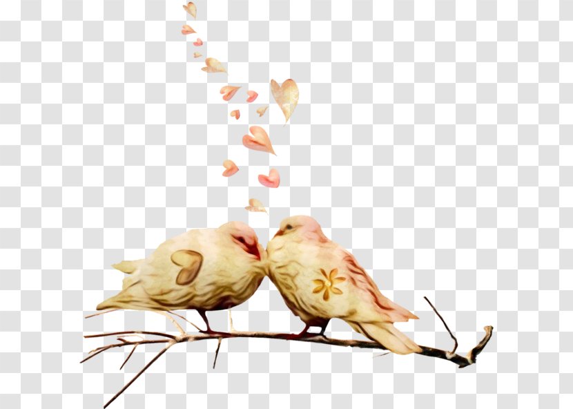 Watercolor Flower Background - Plants - Perching Bird Twig Transparent PNG
