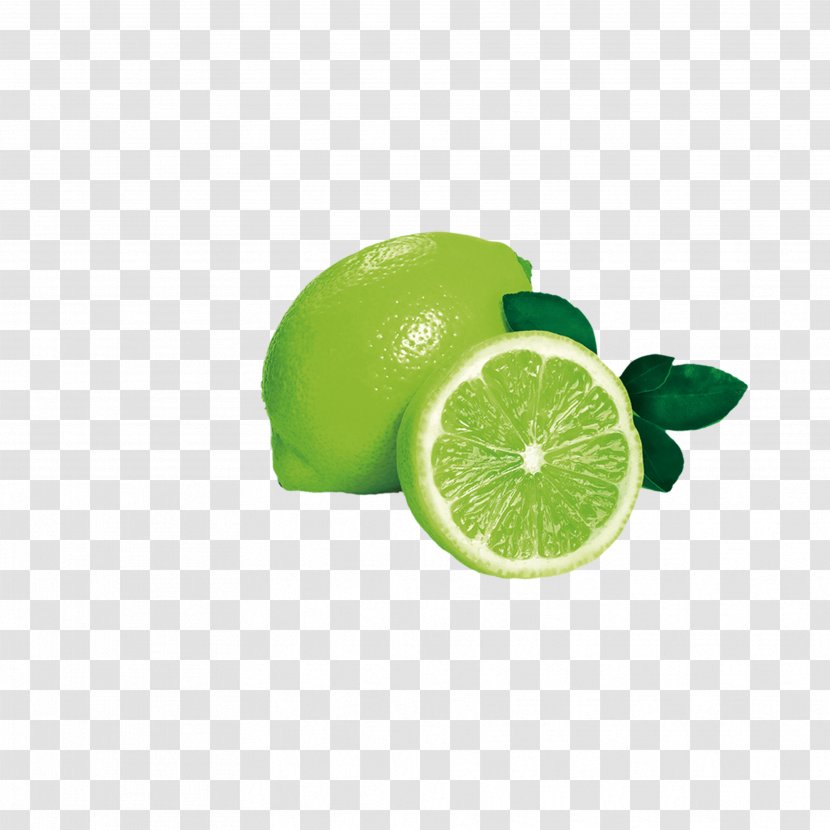 Persian Lime Key Sweet Lemon Transparent PNG