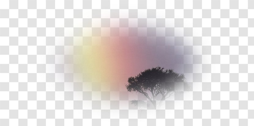 Desktop Wallpaper Close-up Computer Sky Plc - Atmosphere Transparent PNG
