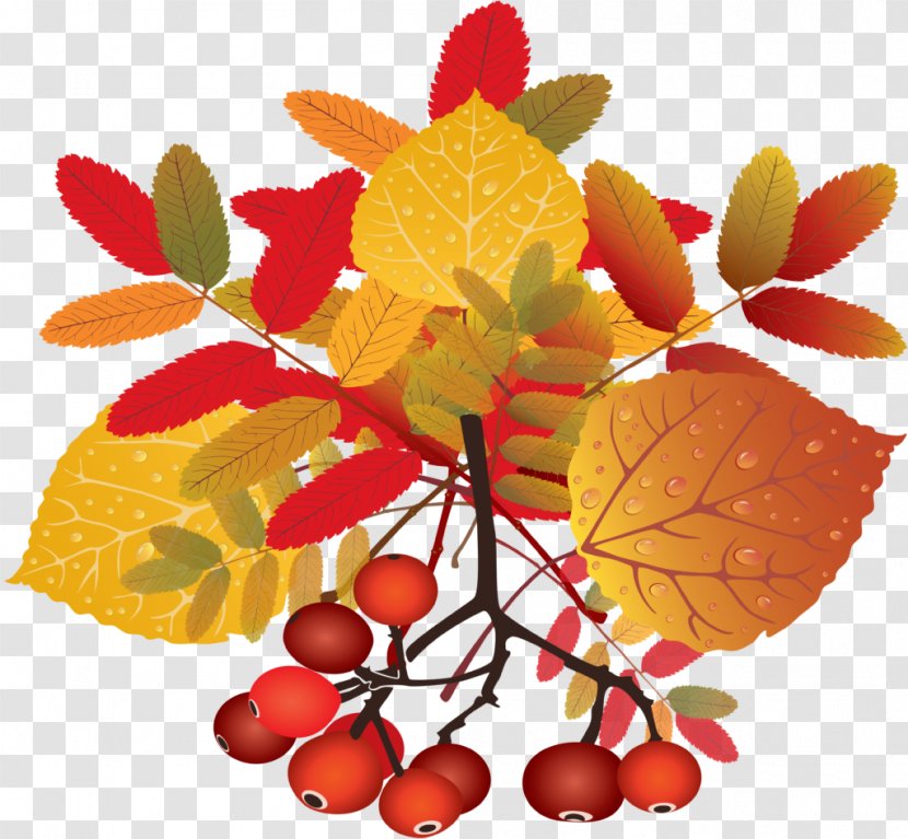 Clip Art - Drawing - Autumn Transparent PNG