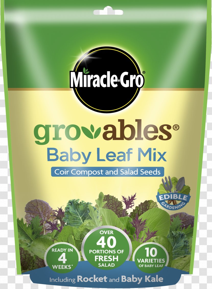 Mesclun Caesar Salad Herb Vegetarian Cuisine Miracle-Gro - Lettuce - Vegetable Transparent PNG