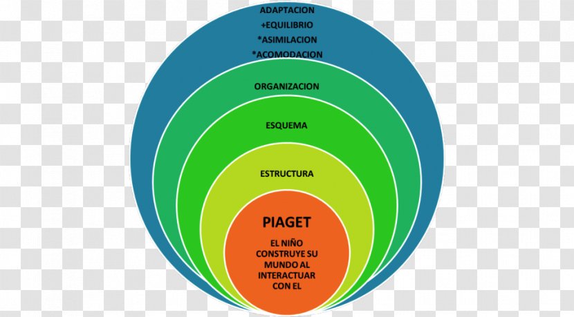 Knowledge Influencer Marketing Cognition Understanding Estudio - Education Transparent PNG