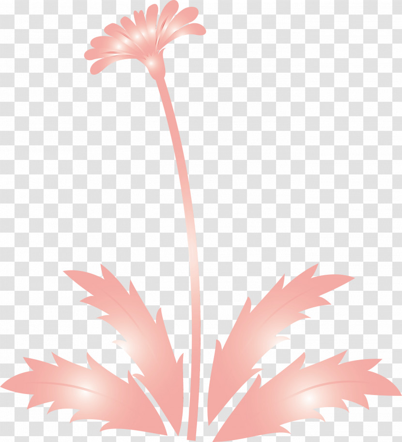 Flower Leaf Plant Pedicel Plant Stem Transparent PNG