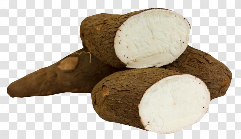 Cassava Food Tapioca Vegetable Tuber Transparent PNG